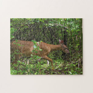 A Stroll Through the Woods Jigsaw Puzzle