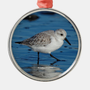 A Strolling Sanderling Sandpiper on the Beach Metal Tree Decoration