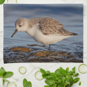 A Strolling Sanderling Tea Towel