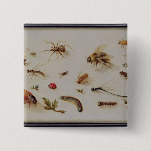 A Study of Insects 15 Cm Square Badge