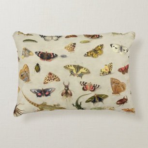 A Study of insects Decorative Cushion