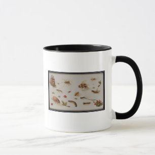 A Study of Insects Mug