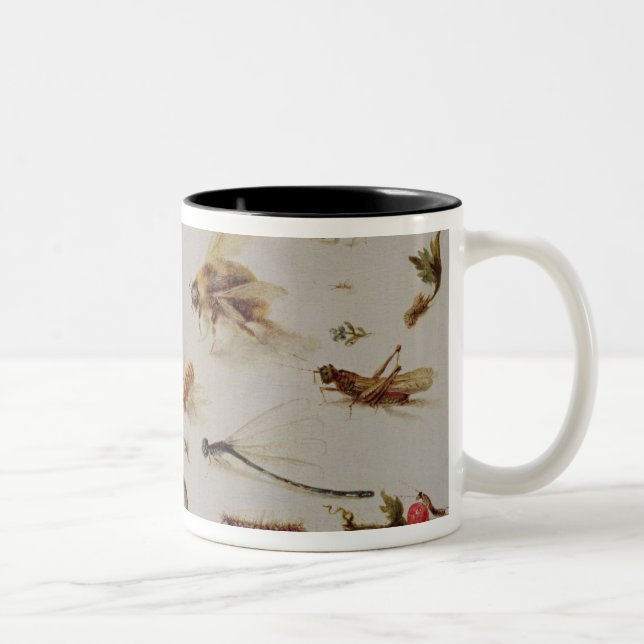 A Study of Insects Two-Tone Coffee Mug (Right)