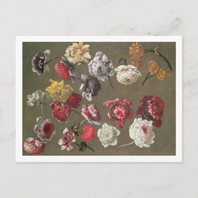 A Study of Peonies (oil on canvas) Postcard (Front)