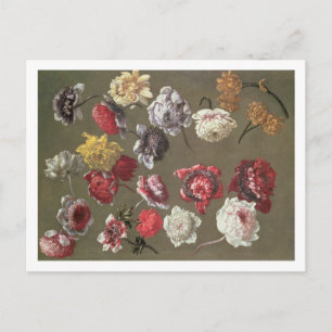 A Study of Peonies (oil on canvas) Postcard