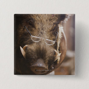 a stuffed wild boar wearing glasses outside a 15 cm square badge