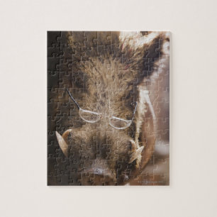 a stuffed wild boar wearing glasses outside a jigsaw puzzle