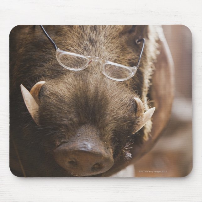 a stuffed wild boar wearing glasses outside a mouse mat (Front)
