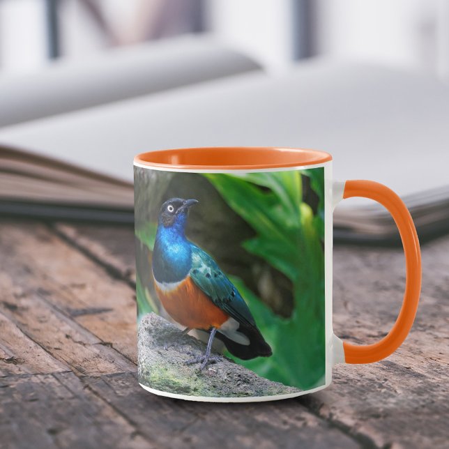 A Stunning African Superb Starling Songbird Mug (Stunning African Superb Starling on the Rock 11 oz Coffee Mug Cover Photo.)