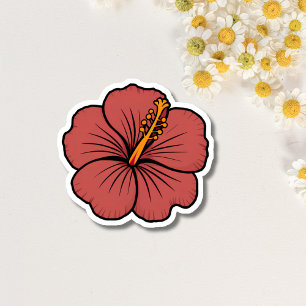 a stunning hibiscus flower