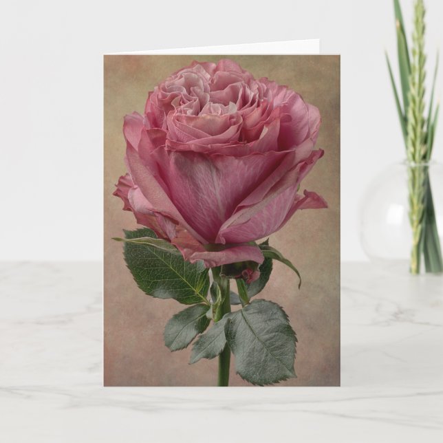 A stunning rose card (Front)