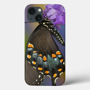 A Sulphur Butterfly iPhone 13 Case