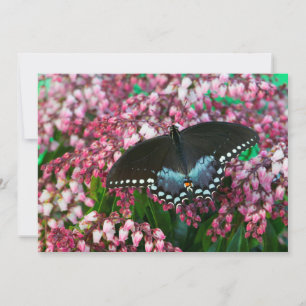 A Sulphur Butterfly   In The Phoebis Family Thank You Card