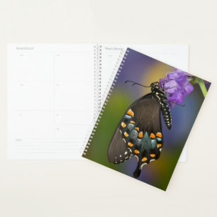A Sulphur Butterfly Planner
