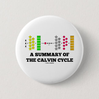 A Summary Of The Calvin Cycle (Photosynthesis) 6 Cm Round Badge