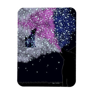 A Summer Night with Sirius Magnet