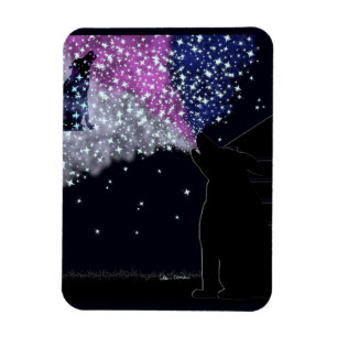 A Summer Night with Sirius Magnet