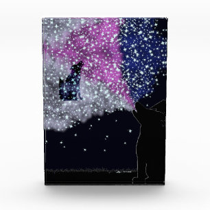 A Summer Night with Sirius Photo Block