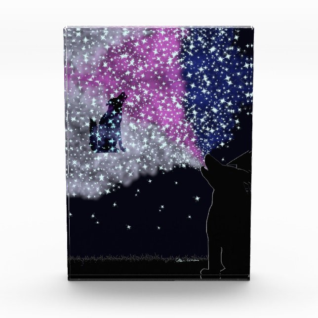 A Summer Night with Sirius Photo Block (Front)