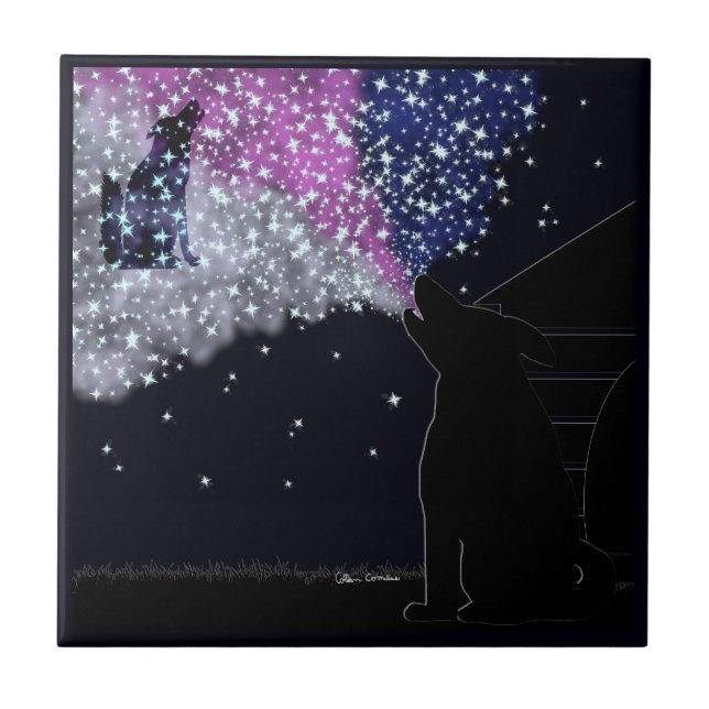 A Summer Night with Sirius Tile (Front)