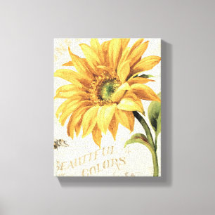 A Sunflower in Full Bloom Canvas Print