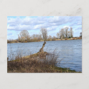 A Sunny Day on the River Postcard