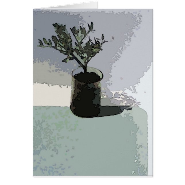 A Sunny Spot (Front)