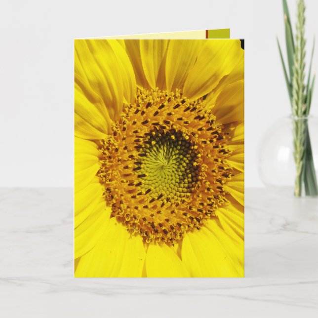 A Sun's Flower Card (Front)