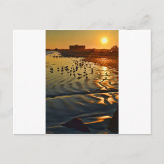 A Sunset in Port Aransas, Texas Postcard