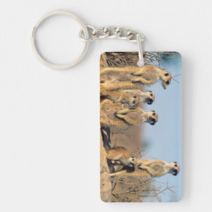 A Suricate family sunning themselves at their den Key Ring