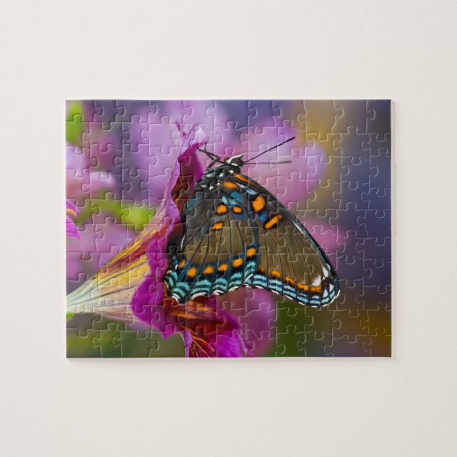 A Swallowtail Butterfly Jigsaw Puzzle (Horizontal)