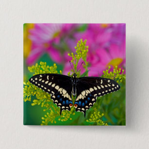 A Swallowtail-Butterfly Landing 15 Cm Square Badge