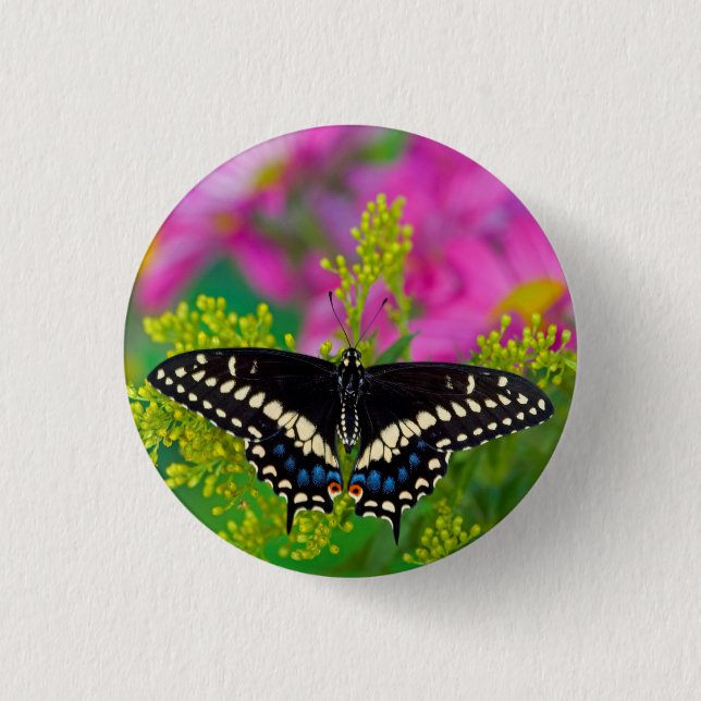 A Swallowtail-Butterfly Landing 3 Cm Round Badge (Front)
