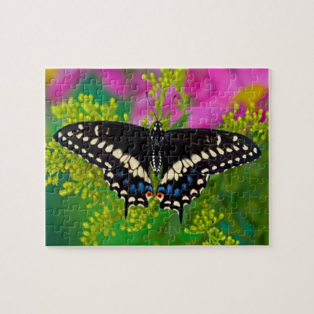 A Swallowtail-Butterfly Landing Jigsaw Puzzle (Horizontal)