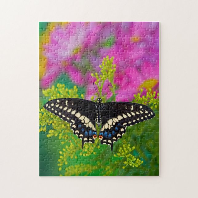 A Swallowtail-Butterfly Landing Jigsaw Puzzle (Vertical)