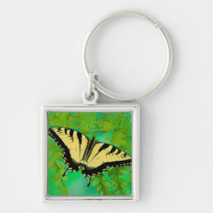 A Swallowtail Butterfly Landing Key Ring