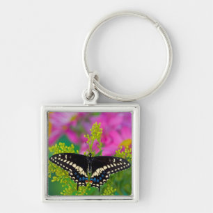 A Swallowtail-Butterfly Landing Key Ring