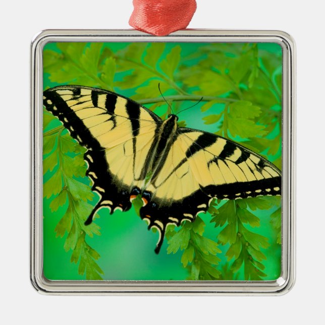 A Swallowtail Butterfly Landing Metal Tree Decoration (Front)