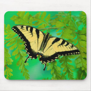 A Swallowtail Butterfly Landing Mouse Mat