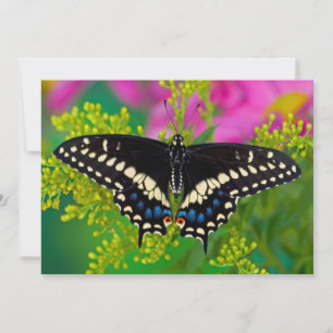 A Swallowtail-Butterfly Landing Thank You Card
