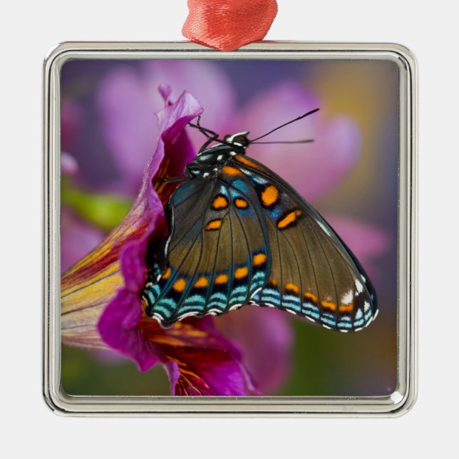 A Swallowtail Butterfly Metal Tree Decoration (Front)