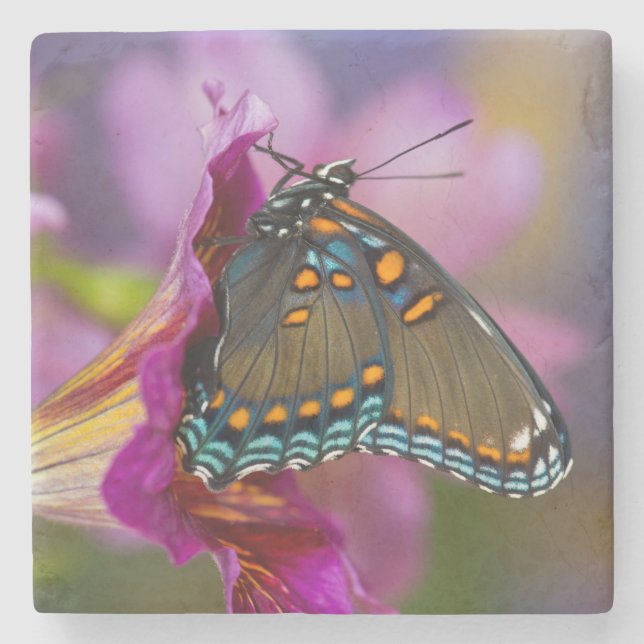 A Swallowtail Butterfly Stone Coaster (Front)