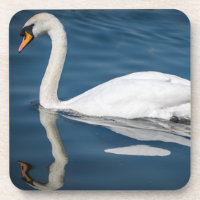 A swan and its reflection hard plastic coasters