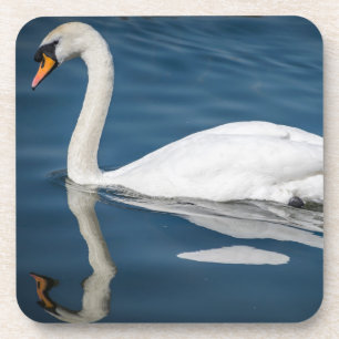 A swan and its reflection hard plastic coasters