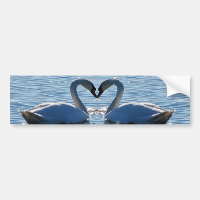 A Swan Heart Kiss, Reflections of Love Bumper Sticker (Front)