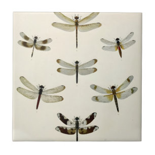 a swarm of retro dragonflies tiles