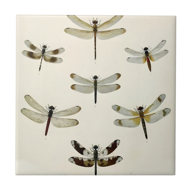 a swarm of retro dragonflies  tiles (Front)