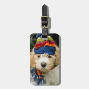 A Sweet Cavachon Puppy In A Winter Hat And Scarf Luggage Tag
