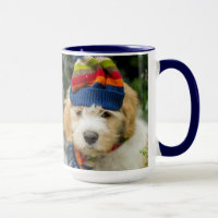 A Sweet Cavachon Puppy In A Winter Hat And Scarf
