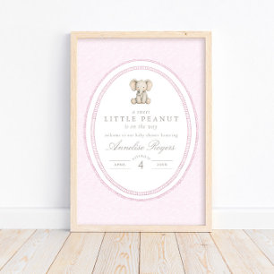 A Sweet Little Peanut Gentle Pink Baby Shower Poster